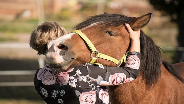 eenzaamheid, eenzaam, oplossing, contact, connectie, paard knuffel vrouw aluhti