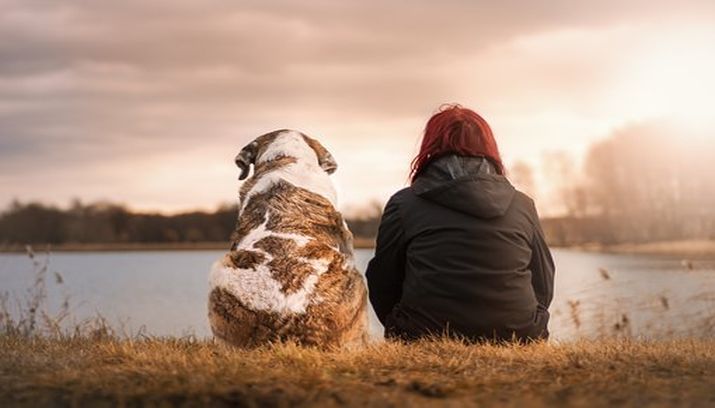 eenzaamheid, eenzaam, oplossing, contact, connectie, hond, knuffel vrouw aluhti